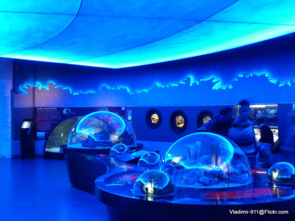 Istanbul Aquarium
