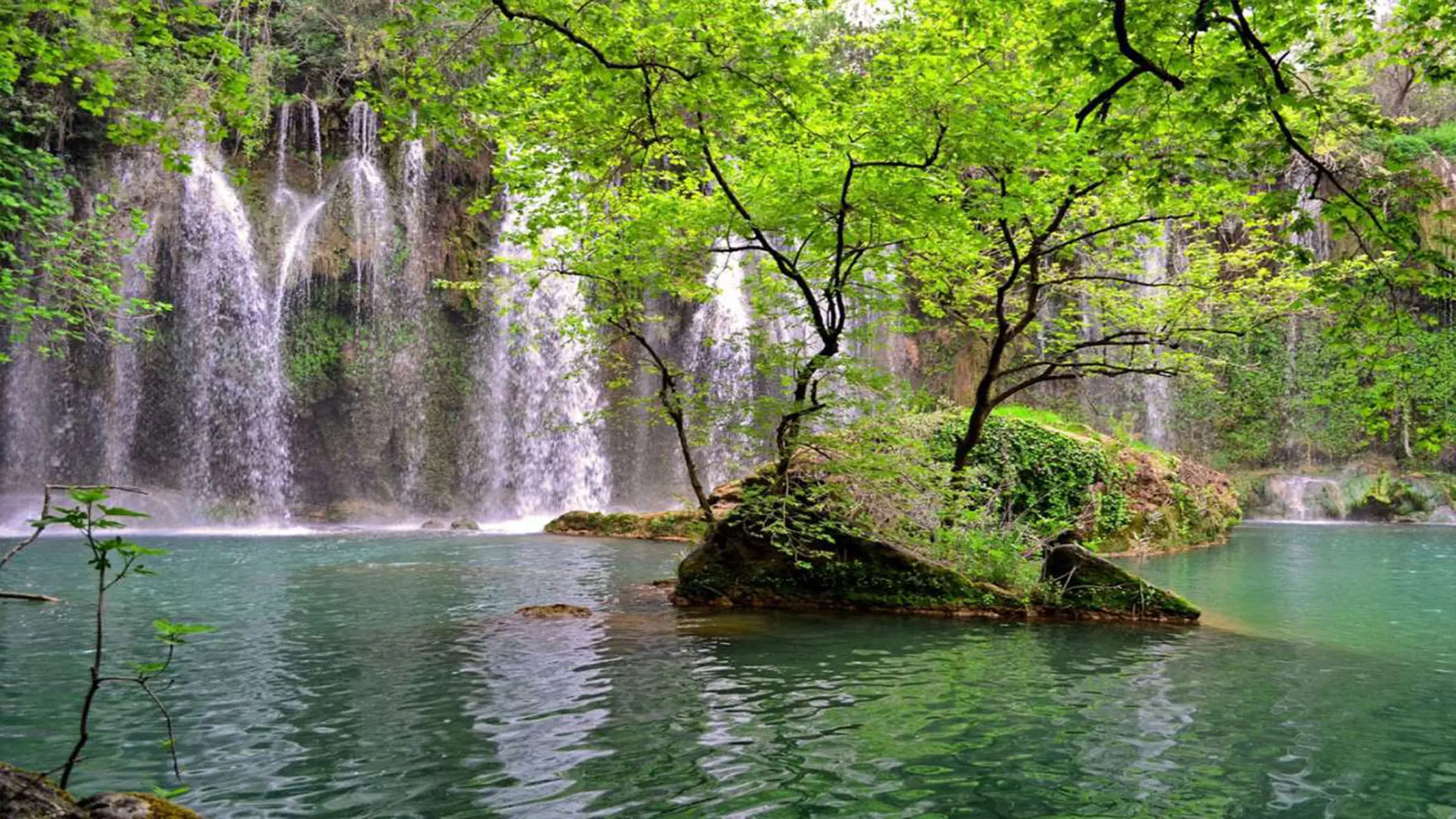 Featured Family Kursunlu