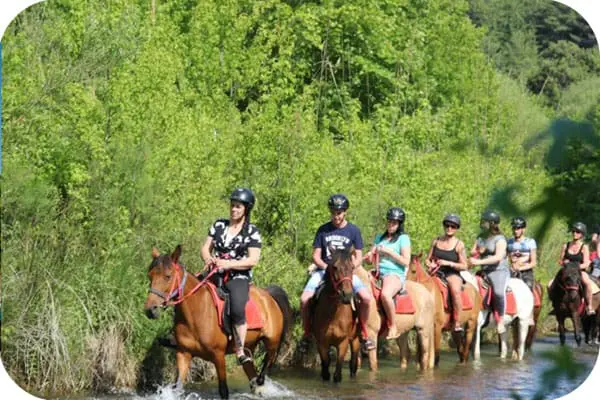 جولة أنطاليا Horse