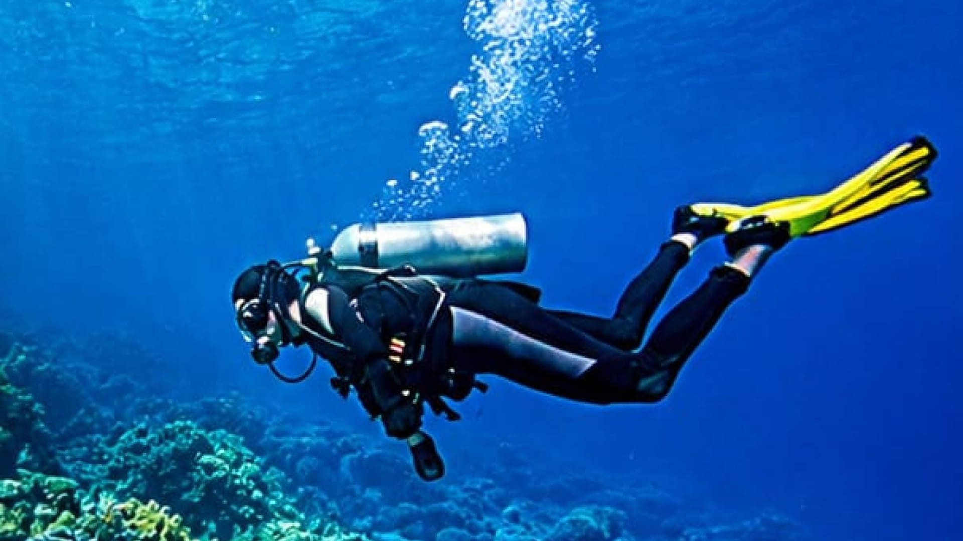 Discover the Blue