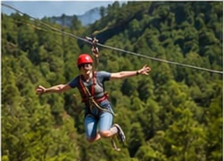 Zipline